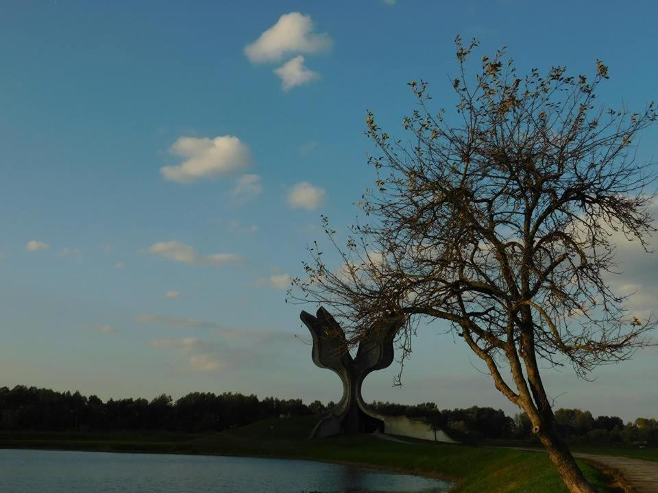 Bed and Breakfast Kod Ribica Jasenovac Екстер'єр фото