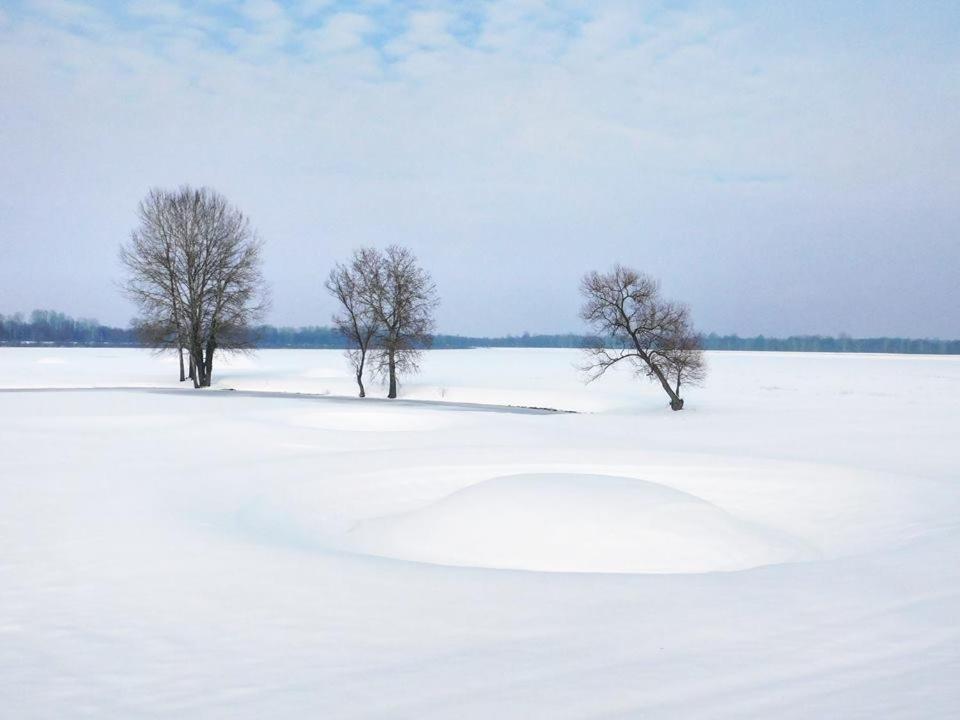 Bed and Breakfast Kod Ribica Jasenovac Екстер'єр фото