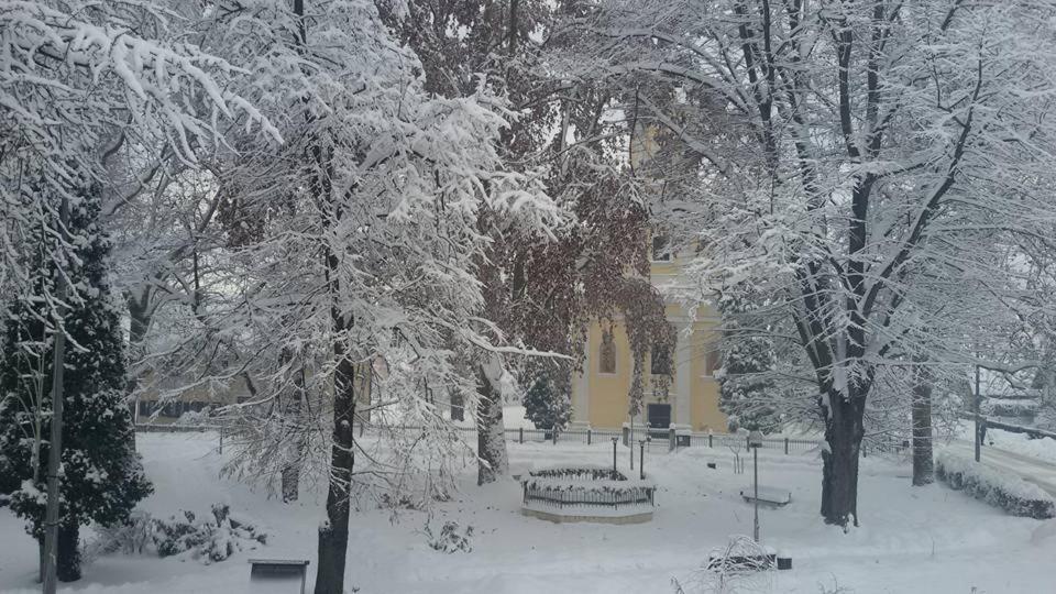 Bed and Breakfast Kod Ribica Jasenovac Екстер'єр фото